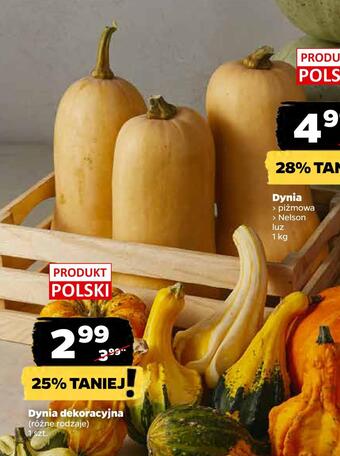 Netto Dynia dekoracyjna oferta
