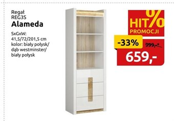 Black Red White Regał oferta