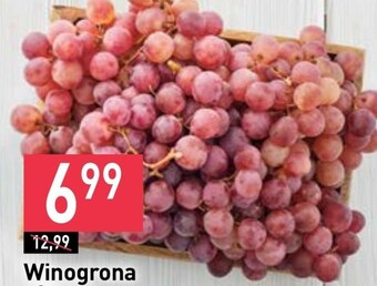 Stokrotka Winogrona oferta