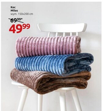 Black Red White Koc oferta