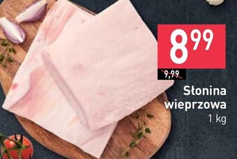 Stokrotka Słonina oferta