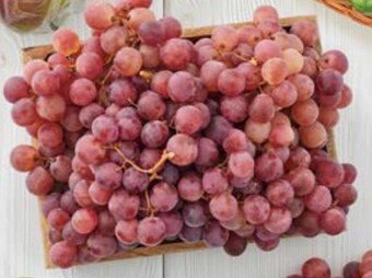 Stokrotka Market Winogrona oferta