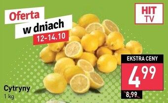 Stokrotka Cytryna oferta