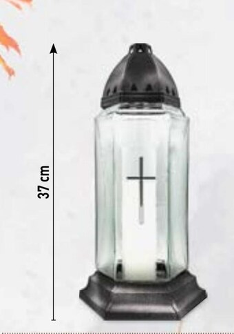 Stokrotka Market Znicz oferta