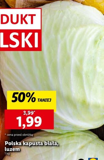 Lidl Polska kapusta biała, luzem 1 kg oferta