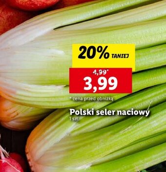 Lidl Polski seler naciowy oferta