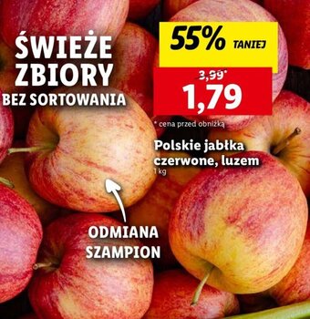 Lidl Polskie jabłka czerwone, luzem 1kg oferta