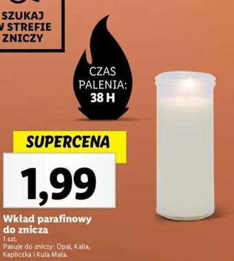 Lidl Wkład parafinowy do znicza oferta
