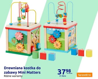 Action Drewniana kostka do zabawy Mini Matters oferta