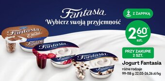 Żabka Jogurt Fantasia 99-118 g oferta