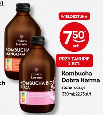 Żabka Kombucha Dobra Karma 330 ml oferta
