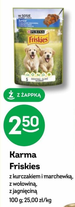 Żabka Karma Friskies 100 g oferta