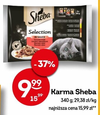 Żabka Karma Sheba 340 g oferta