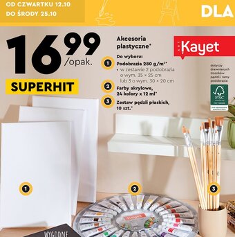 Biedronka Pędzle z syntetycznym włosiem oferta