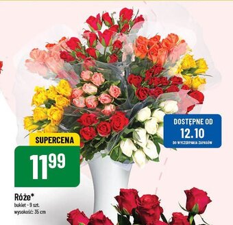 Polomarket Róża 35 cm oferta