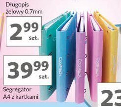 Auchan Segregator a4 w palmy oferta