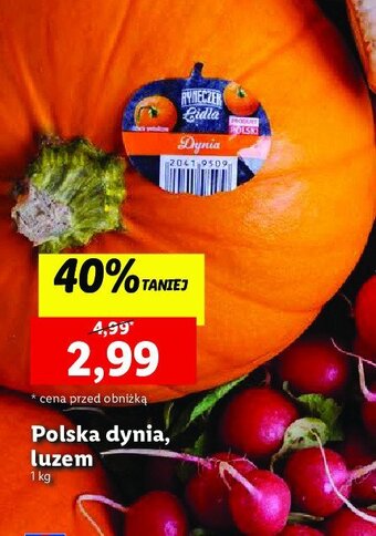 Lidl Dynia oferta