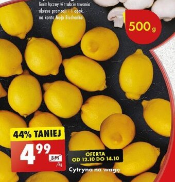 Biedronka Cytryna 1kg oferta