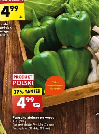 Biedronka Papryka zielona 1kg oferta