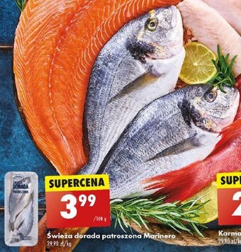 Biedronka Świeża dorada patroszona Marinero 100g oferta