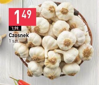 Stokrotka Czosnek 1 szt. oferta