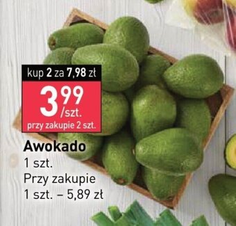 Stokrotka Awokado szt. oferta