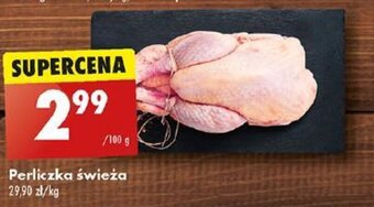 Biedronka Perliczka świeża 100 g oferta