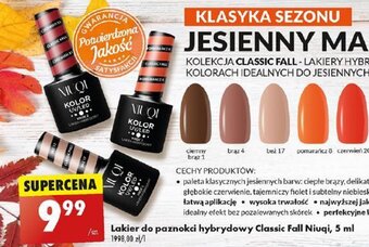 Biedronka Lakier do paznokci hybrydowy Classic Fall Niuqi, 5 ml oferta