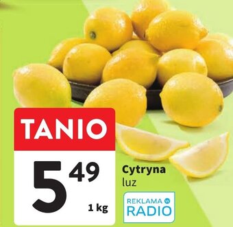 Intermarche Cytryna 1kg oferta