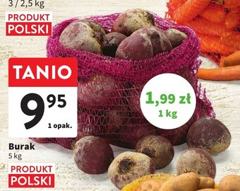 Intermarche Burak 5 kg oferta