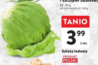 Intermarche Sałata lodowa 1szt. oferta