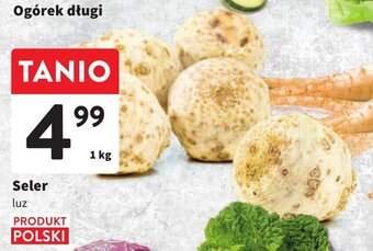 Intermarche Seler 1kg oferta