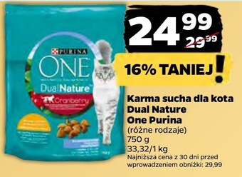 Netto Karma dla kota oferta