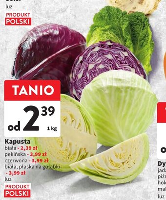 Intermarche Kapusta biała 1kg oferta