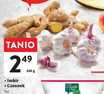 Intermarche Imbir Czosnek 100g oferta
