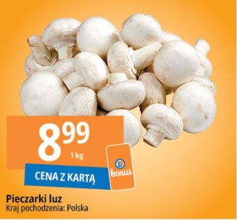 E.Leclerc Pieczarki oferta