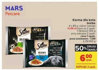 Carrefour Karma dla kota oferta