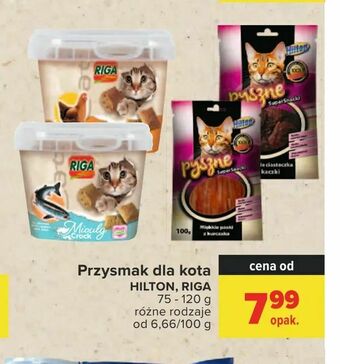 Carrefour Przysmak dla kota oferta
