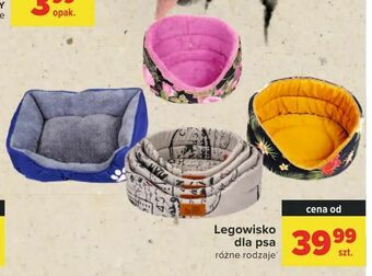 Carrefour Legowisko dla psa oferta