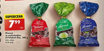 Biedronka Agrest w czekoladzie oferta