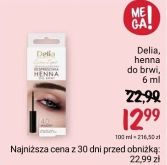 Rossmann Delia, henna do brwi, 6 ml oferta