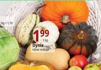 E.Leclerc Dynia różne rodzaje 1 kg oferta