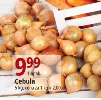 E.Leclerc Cebula 5 kg oferta