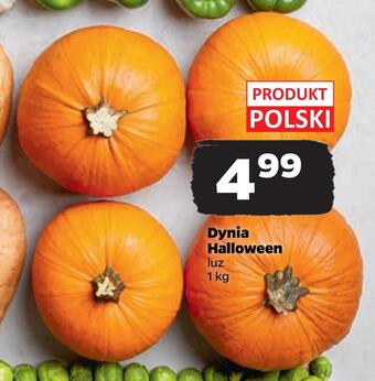 Netto Dynia halloween oferta