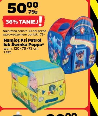 Netto Namiot psi patrol lub świnka peppa oferta