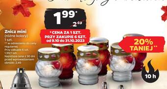 Netto Znicz mini oferta