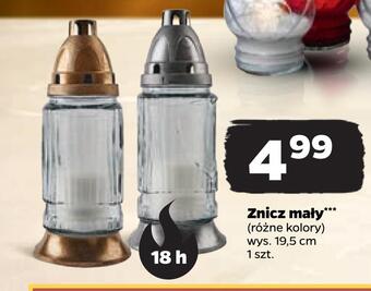 Netto Znicz mały oferta