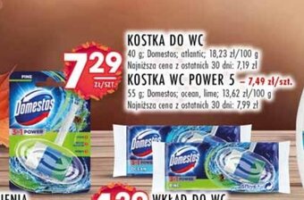 Stokrotka KOSTKA DO WC 40 g: Domestos oferta