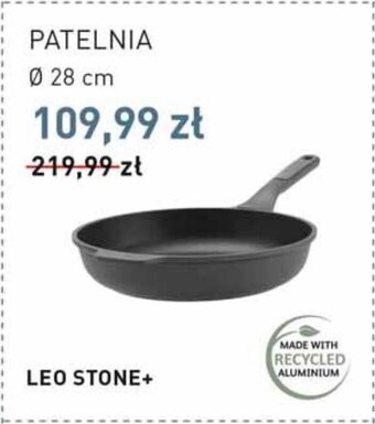 Stokrotka PATELNIA oferta