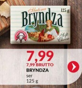 Eurocash BRYNDZA ser 125g oferta